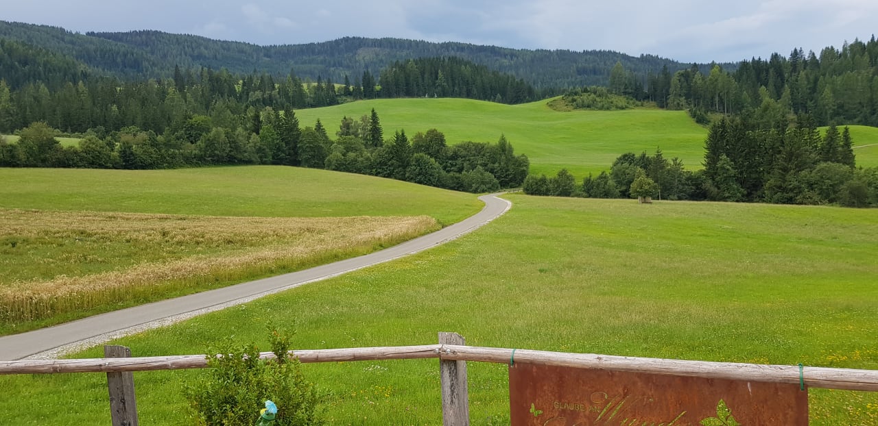 Ausblick Alpengasthof Moser