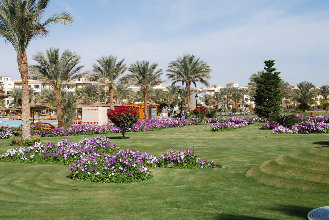 Wie ein Golfplatz Pickalbatros Dana Beach Resort - Hurghada