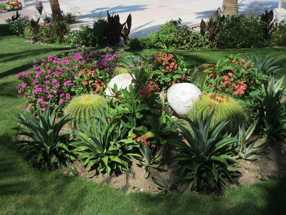 Gartenanlage Royal Lagoons Resort & Aqua Park