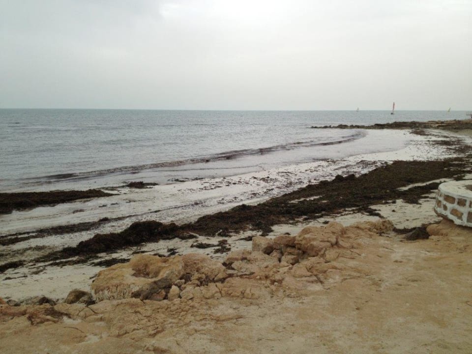 Lust zu Schwimmen? Hotel El Mouradi Djerba Menzel