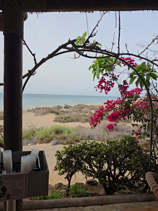 Ausblick SBH Hotel Taro Beach