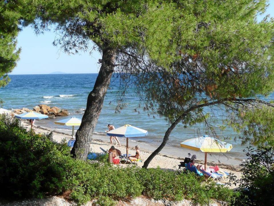 Der linke Teil des Hotel - Strandes Blue Dolphin Resort Hotel