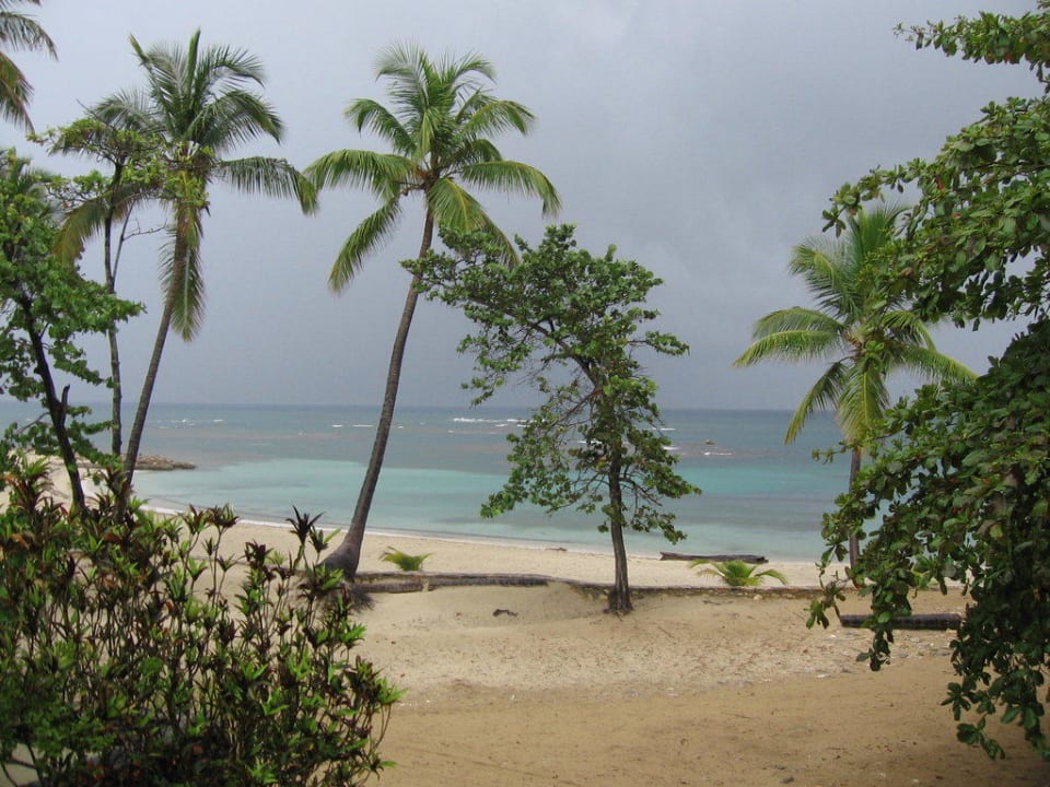Ausblick vom Balkon Grand Paradise Playa Dorada