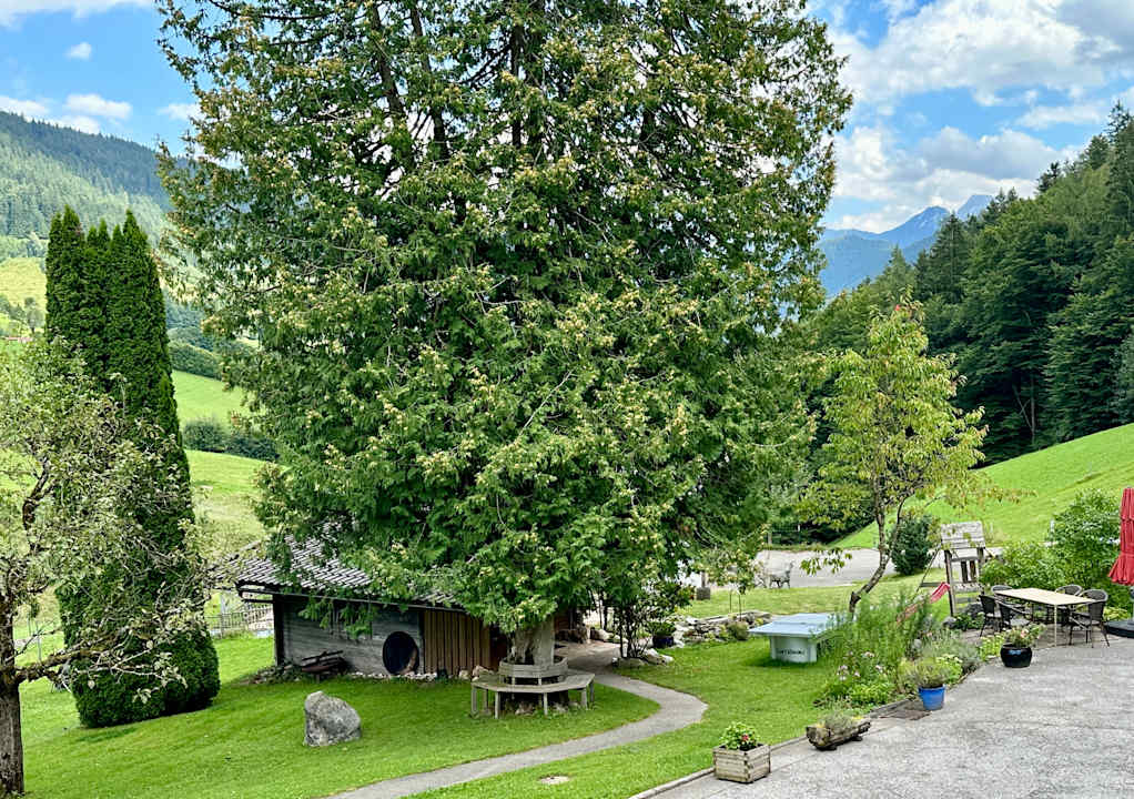 Gartenanlage Ferienwohnung Pletzerlehen