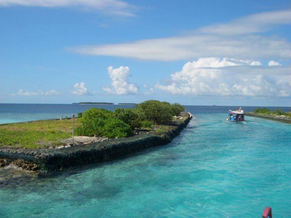 Schnorcheltour Sun Siyam Vilu Reef