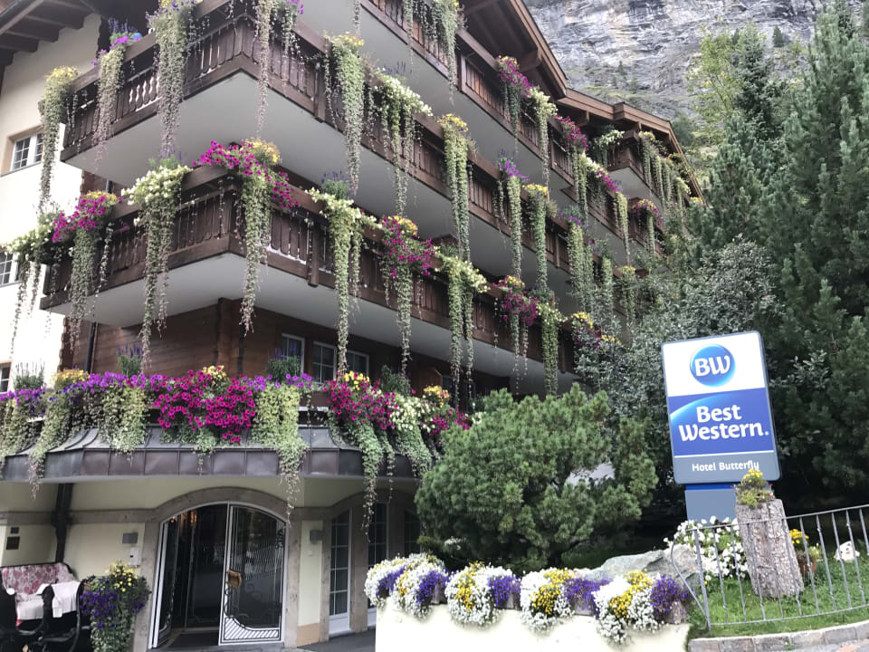 Eingangsbereich Hotel Butterfly, BW Signature Collection Hotel