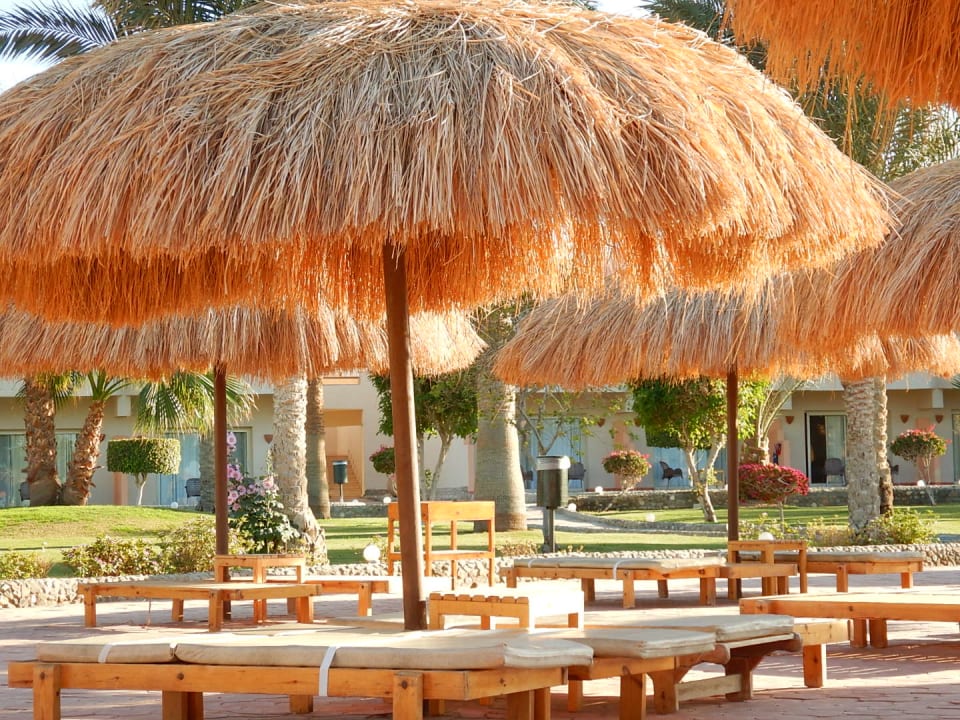 Sonstiges Three Corners Sea Beach Resort