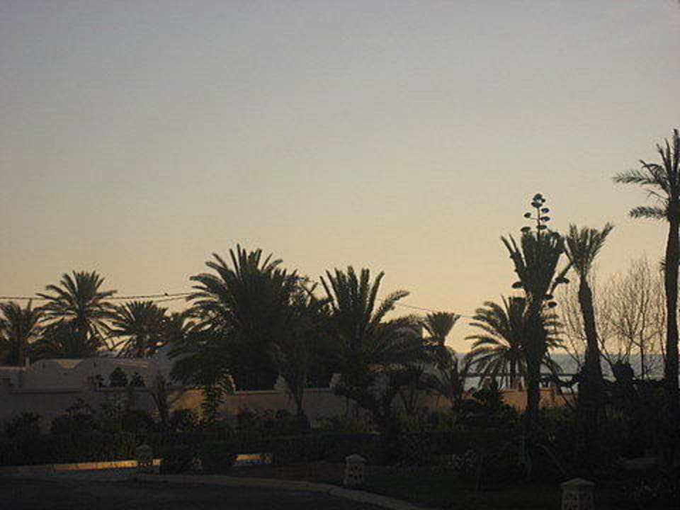 Sunset Vincci Safira Palms