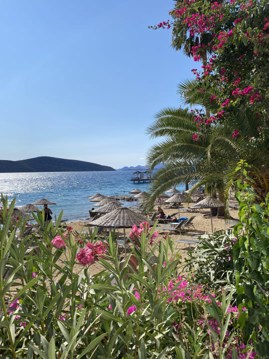 Strand TUI MAGIC LIFE Bodrum - Adult Only (16+)