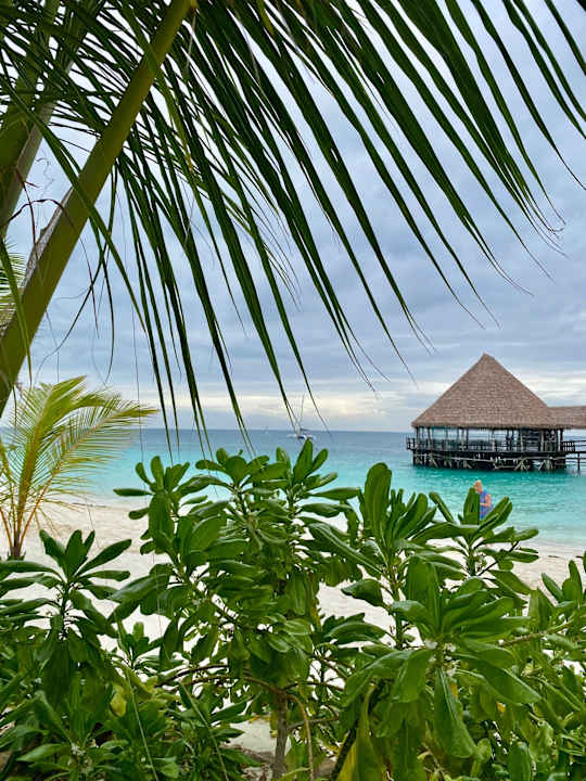 Ausblick Hotel Riu Jambo