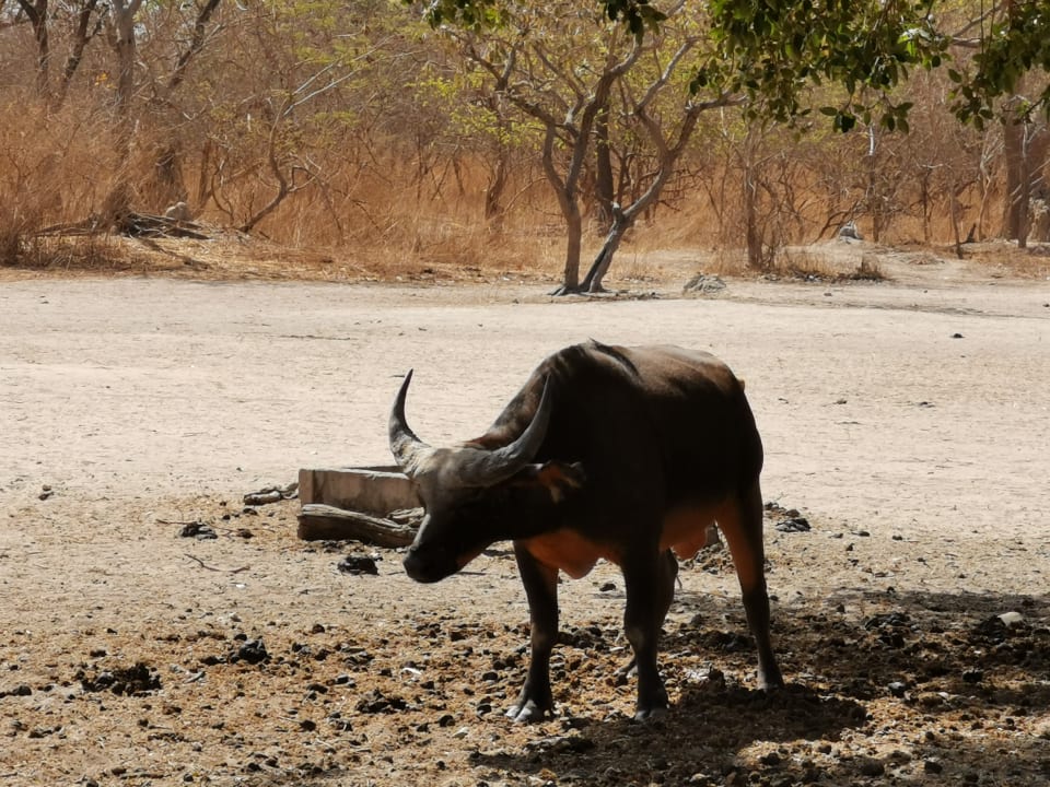 Sonstiges TUI BLUE Tamala