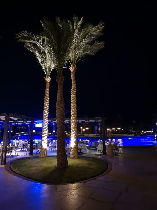 Gartenanlage Steigenberger ALDAU Beach Hotel