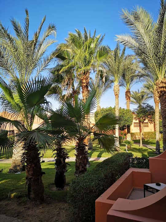 Gartenanlage Jaz Makadi Oasis Resort