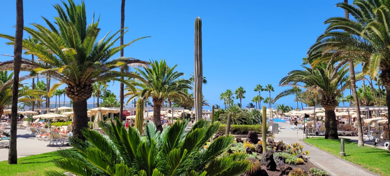 Gartenanlage Hotel Riu Gran Canaria