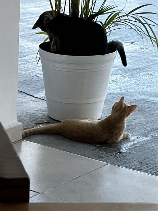 Sonstiges Sol Varadero Beach