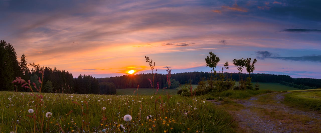 Ausblick Waldhotel Kreuztanne