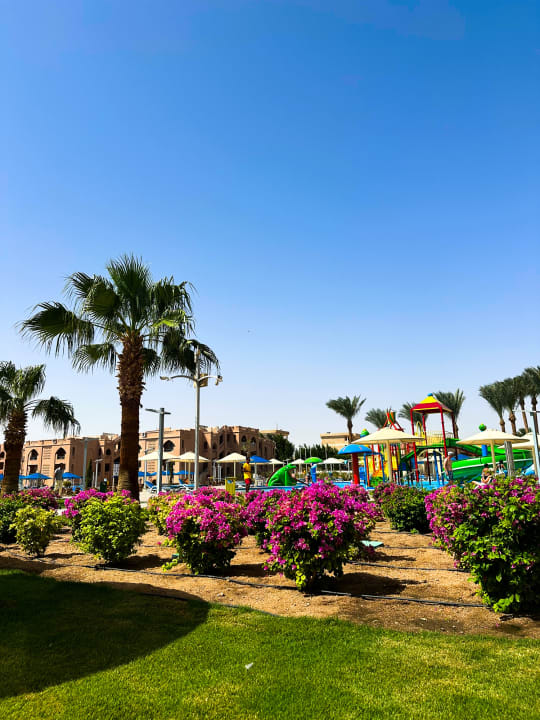 Gastro Pickalbatros Aqua Blu Resort - Hurghada