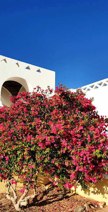 Außenansicht Beach Safari Nubian Resort