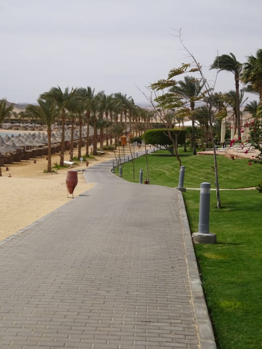 Gartenanlage Steigenberger Coraya Beach - Adults only