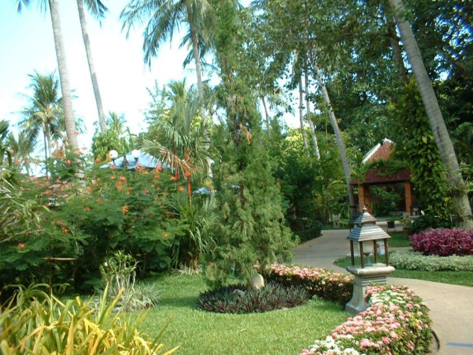 Gartenanlage The Fair House Beach Resort