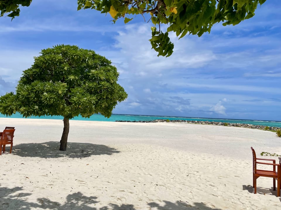 Strand Fihalhohi Maldives