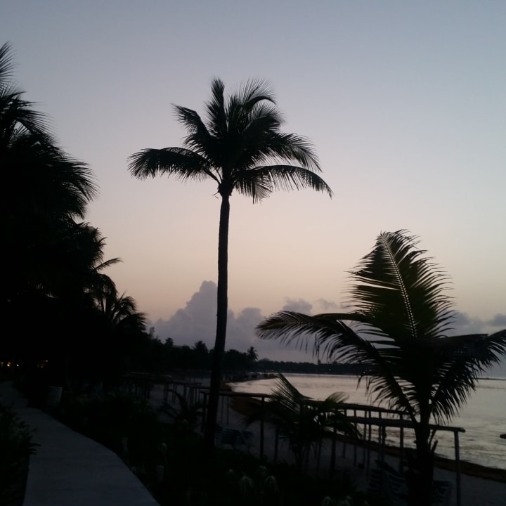 Zimmer Akumal Bay Beach & Wellness Resort