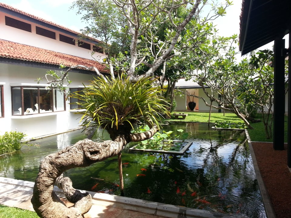 Ein wundervoller Eingangsbereich Thaala Bentota