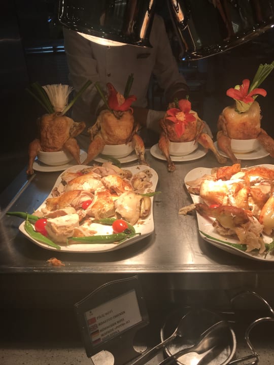 Gastro Royal Seginus