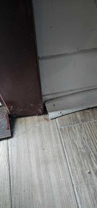 Zimmer Risus Beach Resort