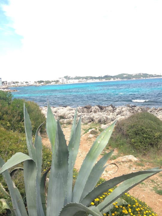 Strand Hotel Serrano Palace