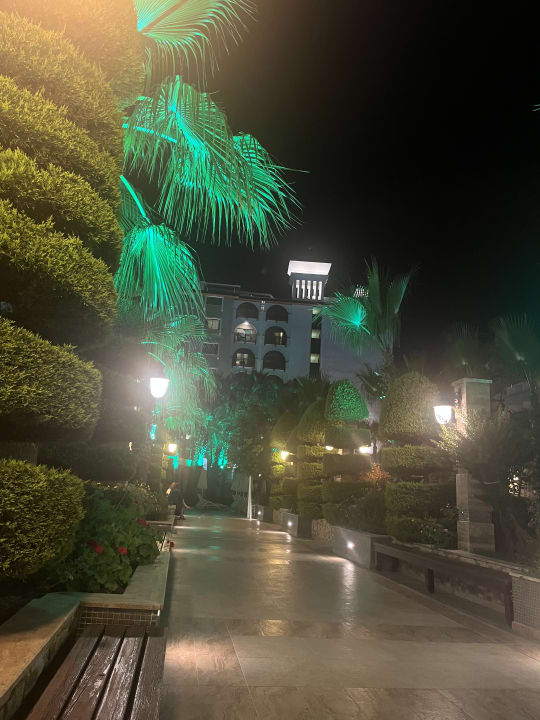 Gartenanlage Dizalya Palm Garden