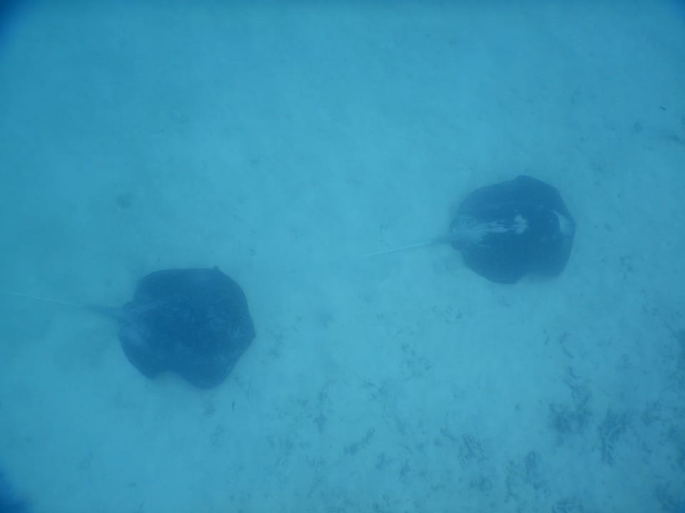 Sport & Freizeit Cinnamon Hakuraa Huraa Maldives