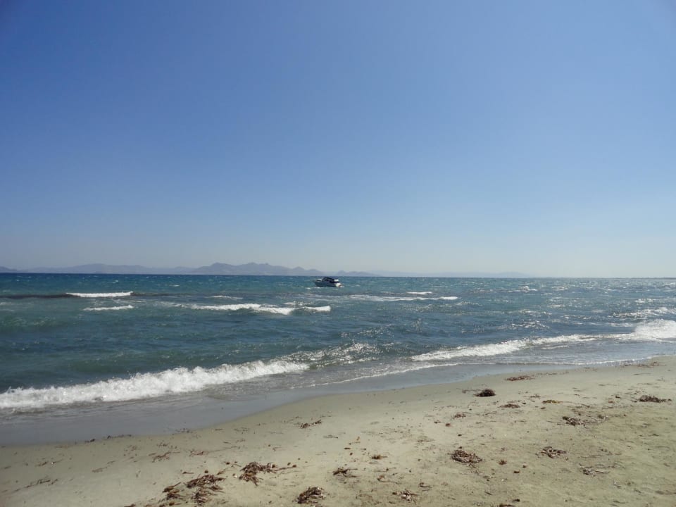Strand von Tigaki Hotel Tigaki's Star