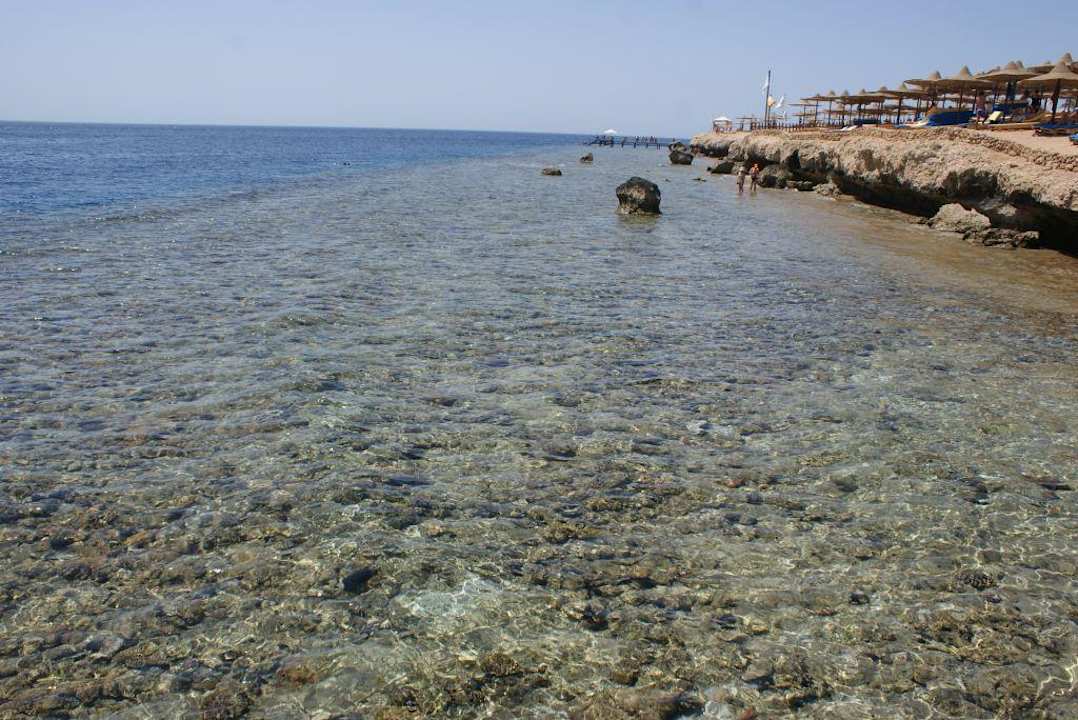 Plaża z pomostu Amphoras Blu