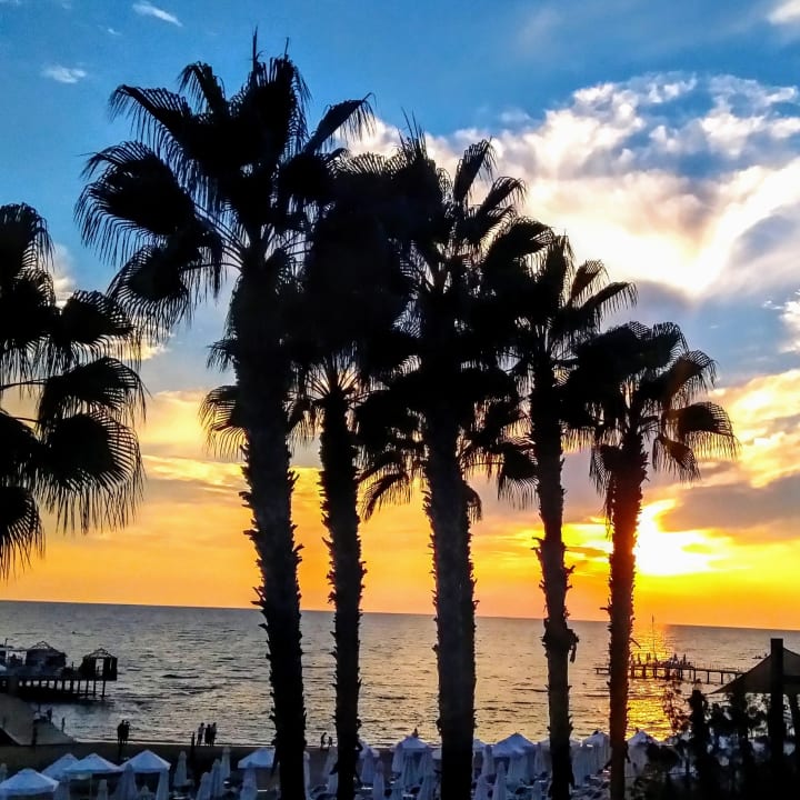 Ausblick Arum Barut Collection