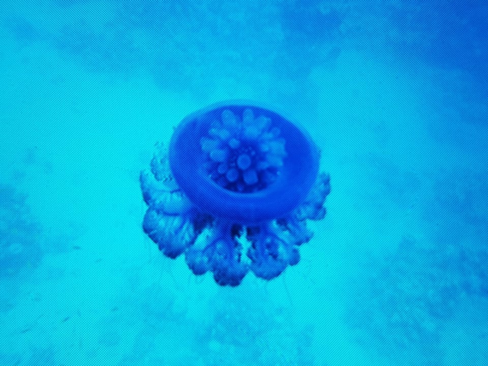 Sport & Freizeit Utopia Beach Club