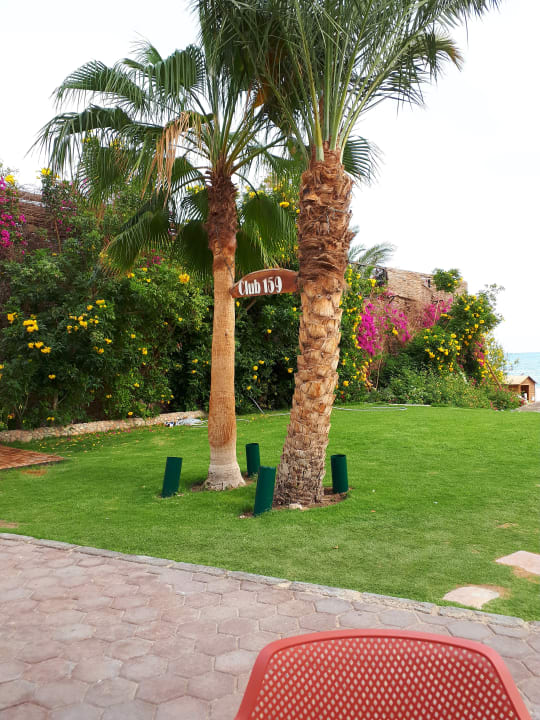 Gartenanlage Fort Arabesque Resort, Spa & Villas