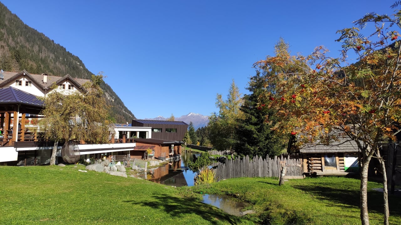 Gartenanlage Alphotel Tyrol