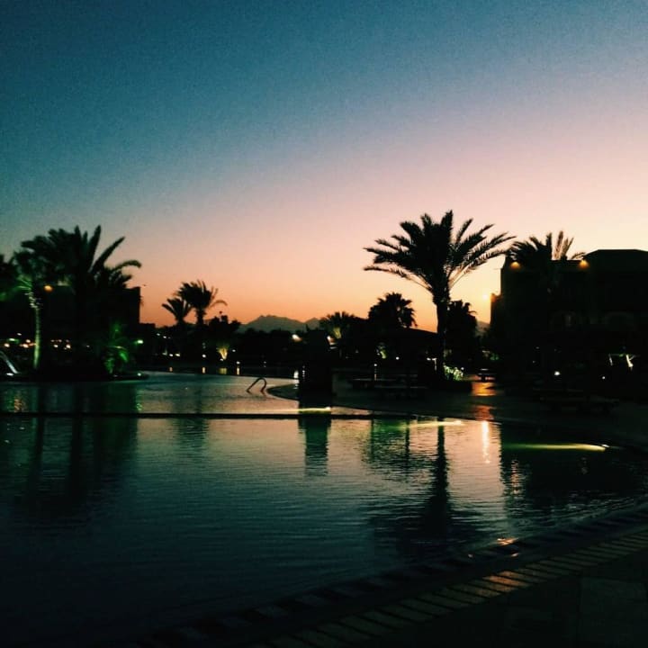 Вечерний вид  Desert Rose