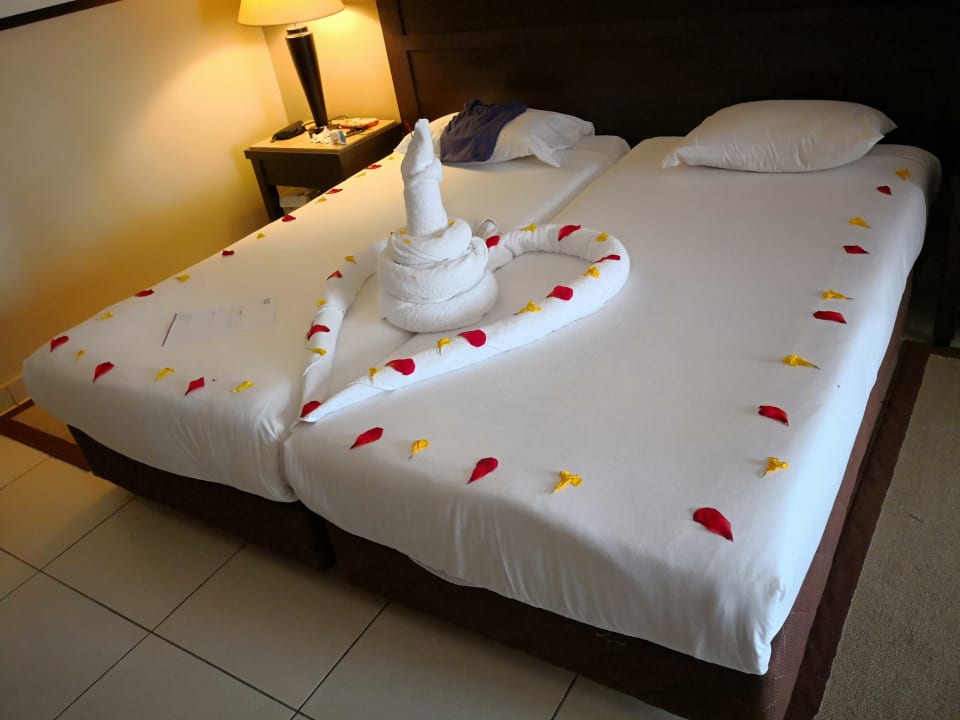 Zimmer Jaz Dar EL Madina