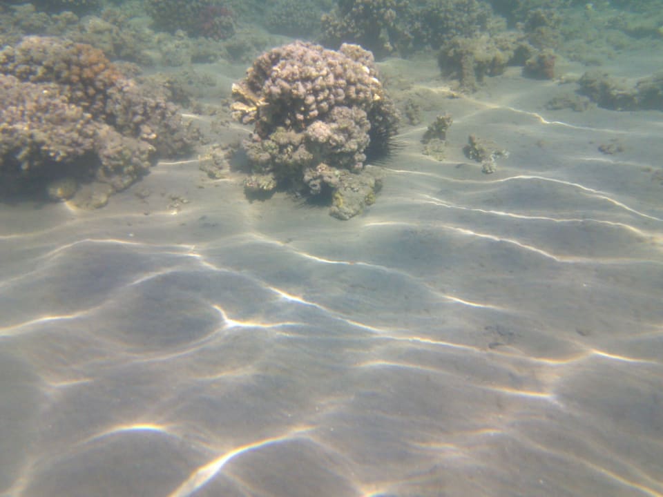 Strand Cleopatra Luxury Resort Makadi Bay