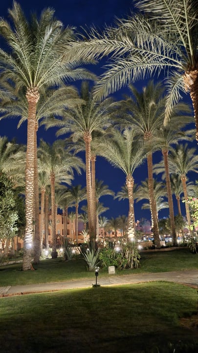 Gartenanlage Jaz Makadi Oasis Resort