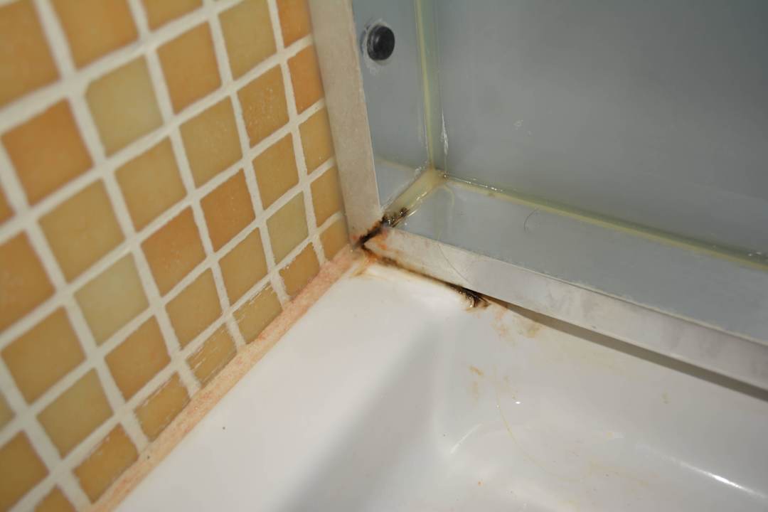 Dusche  Ses Oliveres d'Es Convent