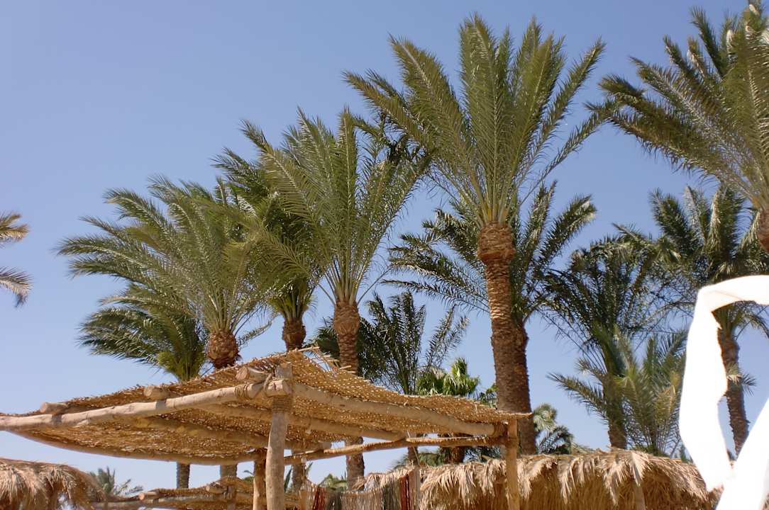 Strand Fort Arabesque Resort, Spa & Villas