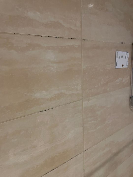 Zimmer Dizalya Palm Garden