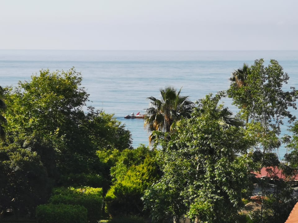 Ausblick Hotel Gardenia Beach
