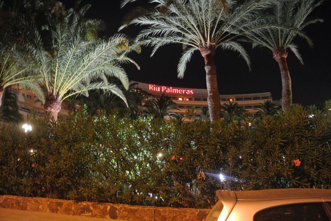 Hotel Hotel Riu Palace Palmeras