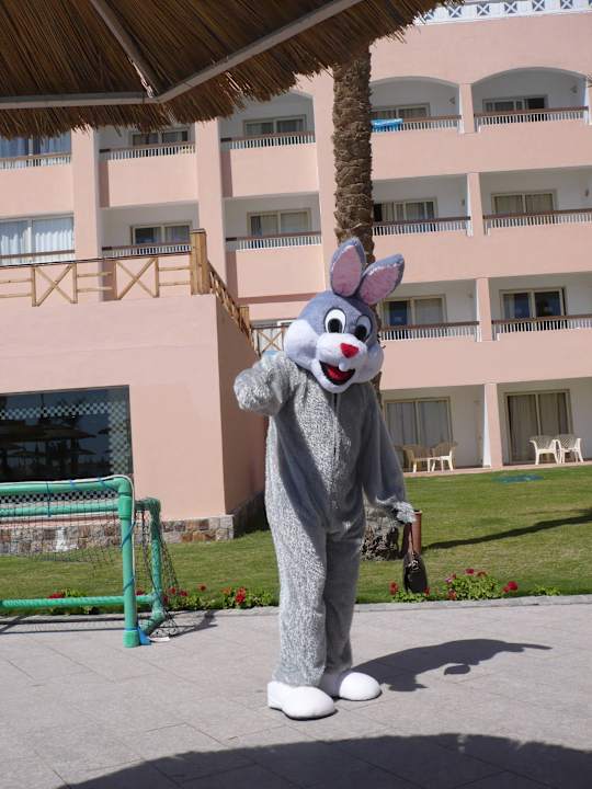 Animation am Ostersonntag Beach Albatros Resort