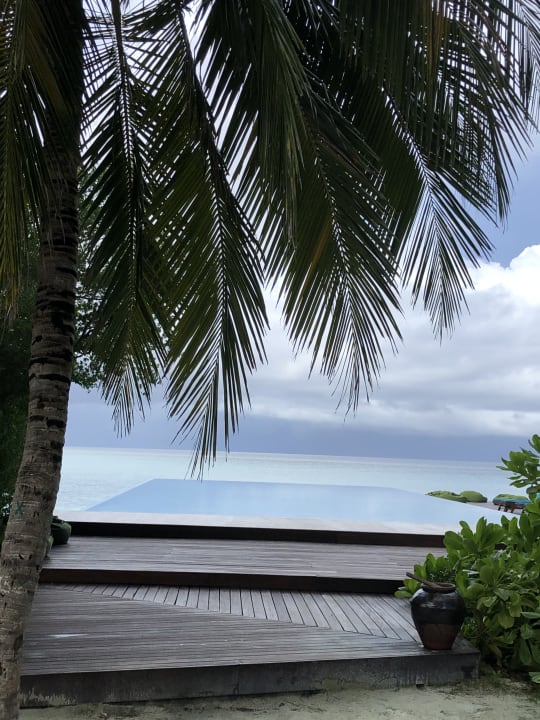 Pool Summer Island Maldives