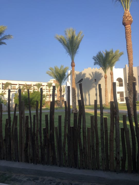 Gartenanlage Sunrise Tucana Resort - Grand Select